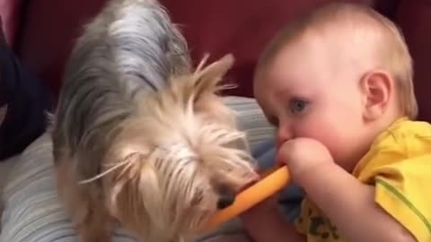 give me my toys back