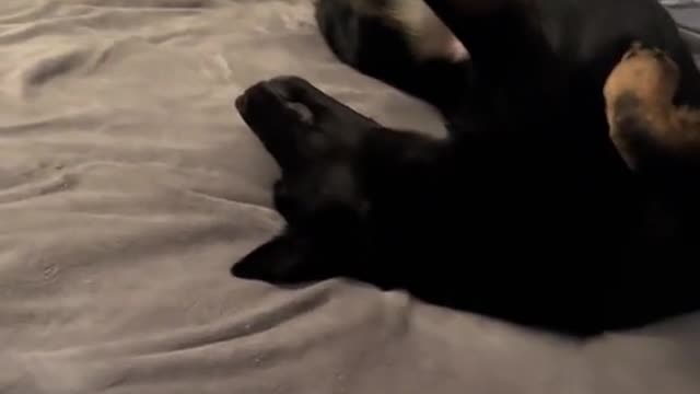 This sleeping position