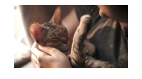 Young woman hugging kitten.