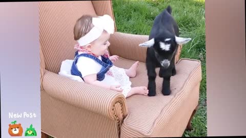 Top Funniest Baby Of november