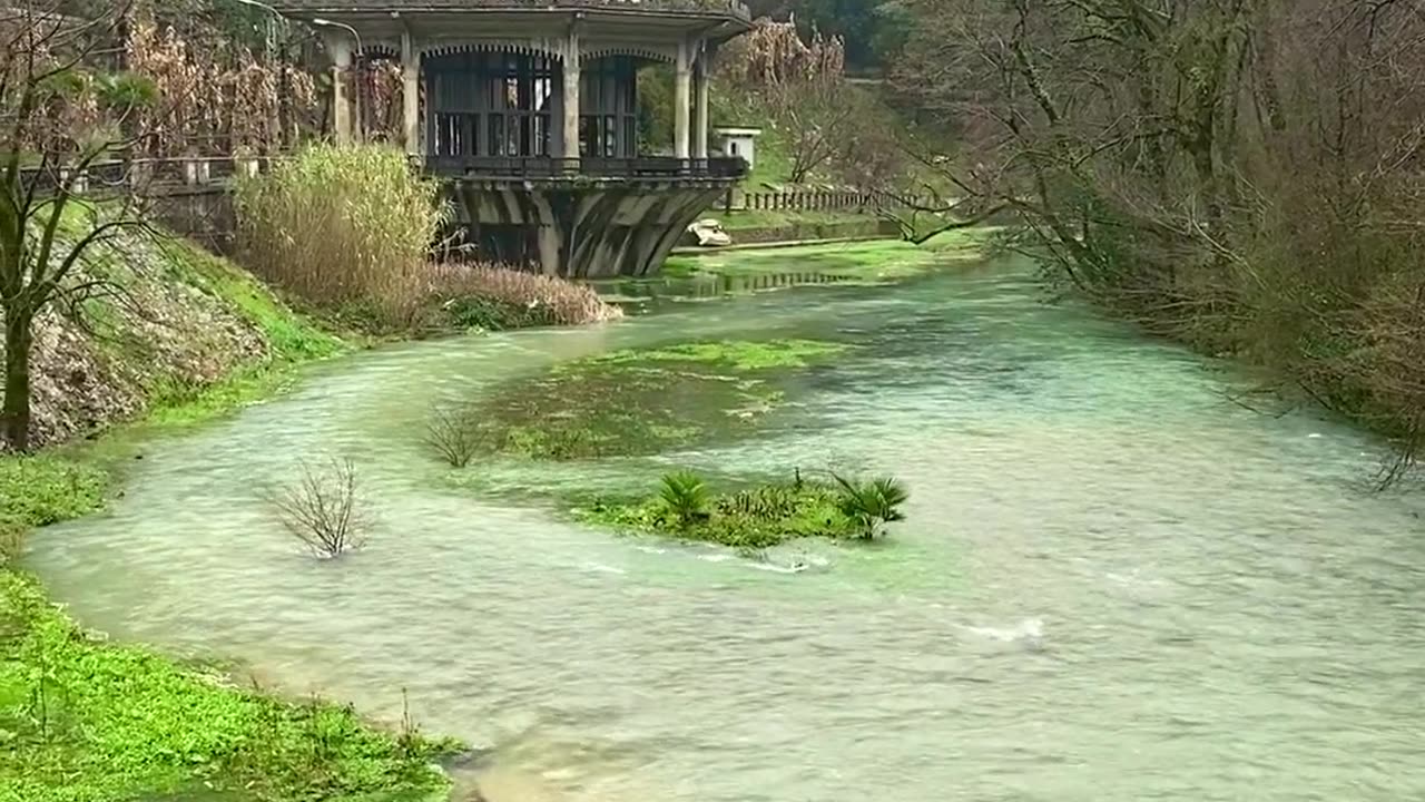 Cloudy Day in the River