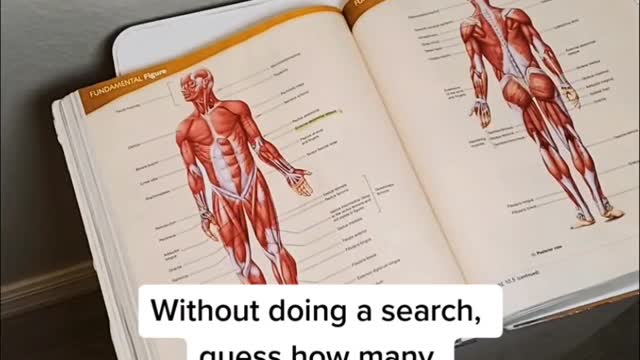 Without doing a search, guess how many muscles are in the human body