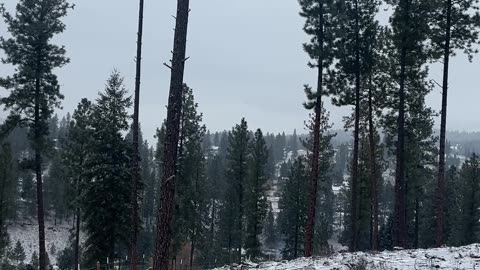 Our View of Republic, WA from McKenzie Mountain 12-13-24