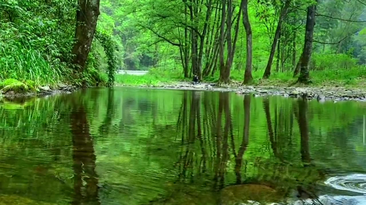 Relaxing nature water