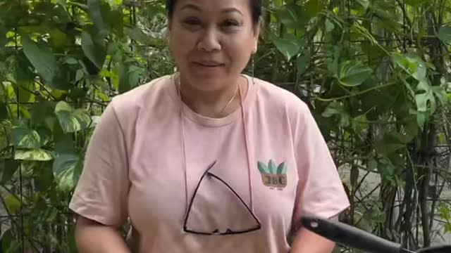 How to regrow celery! 😳 #celery #tiktoktutorial #gardening #gardenhack #fypシ