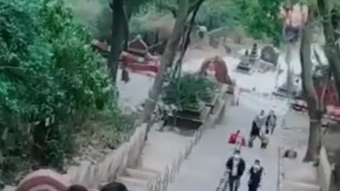 Monkey slide in nepal