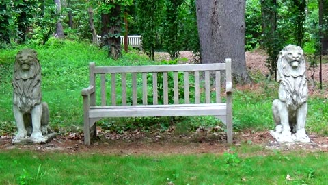 Wood Bench