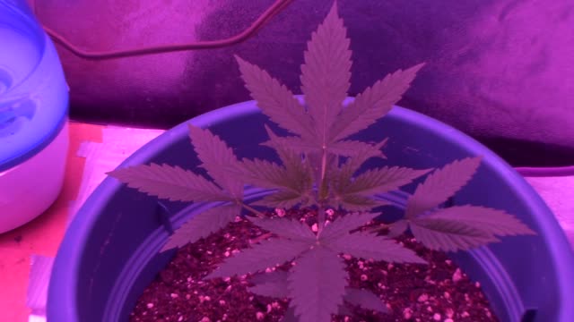 Batch #4 of my growth journal