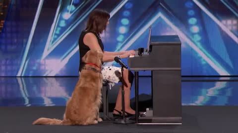 Oscar & Pam Singing Dog Wins America's Heart - America's Got Talent