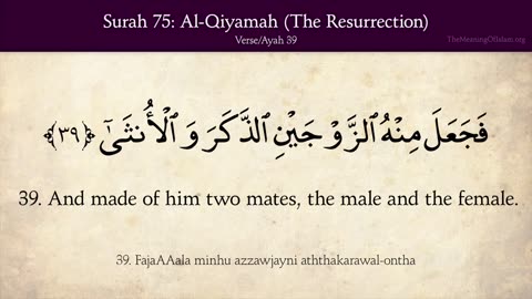 Quran: 75. Surah Al Qiyamah (The Resurrection): Arabic and English translation