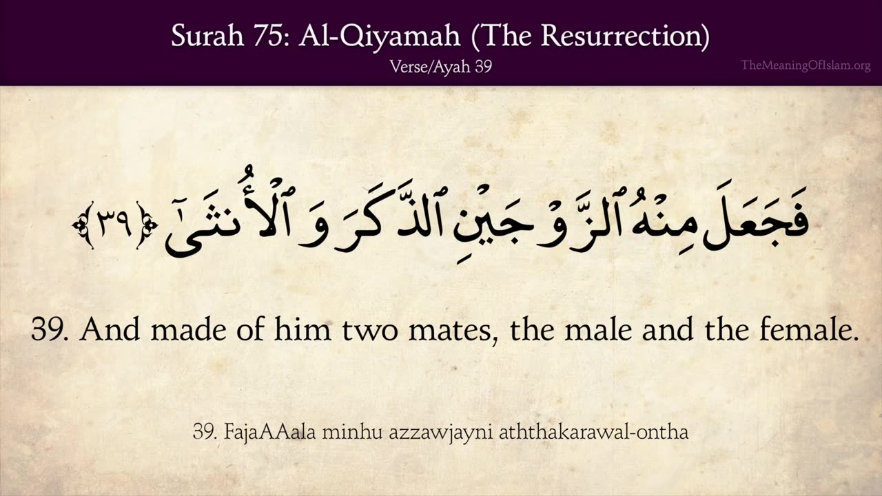 Quran: 75. Surah Al Qiyamah (The Resurrection): Arabic and English translation