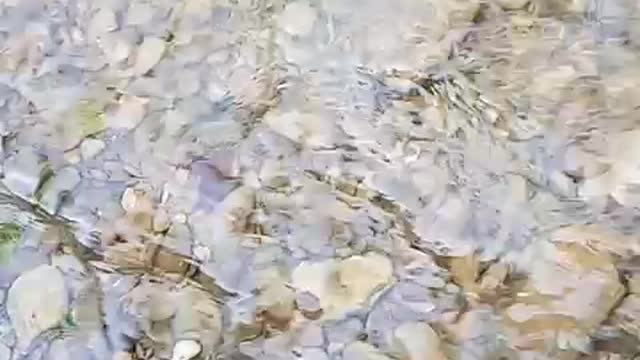 Enjoy 😉 in water