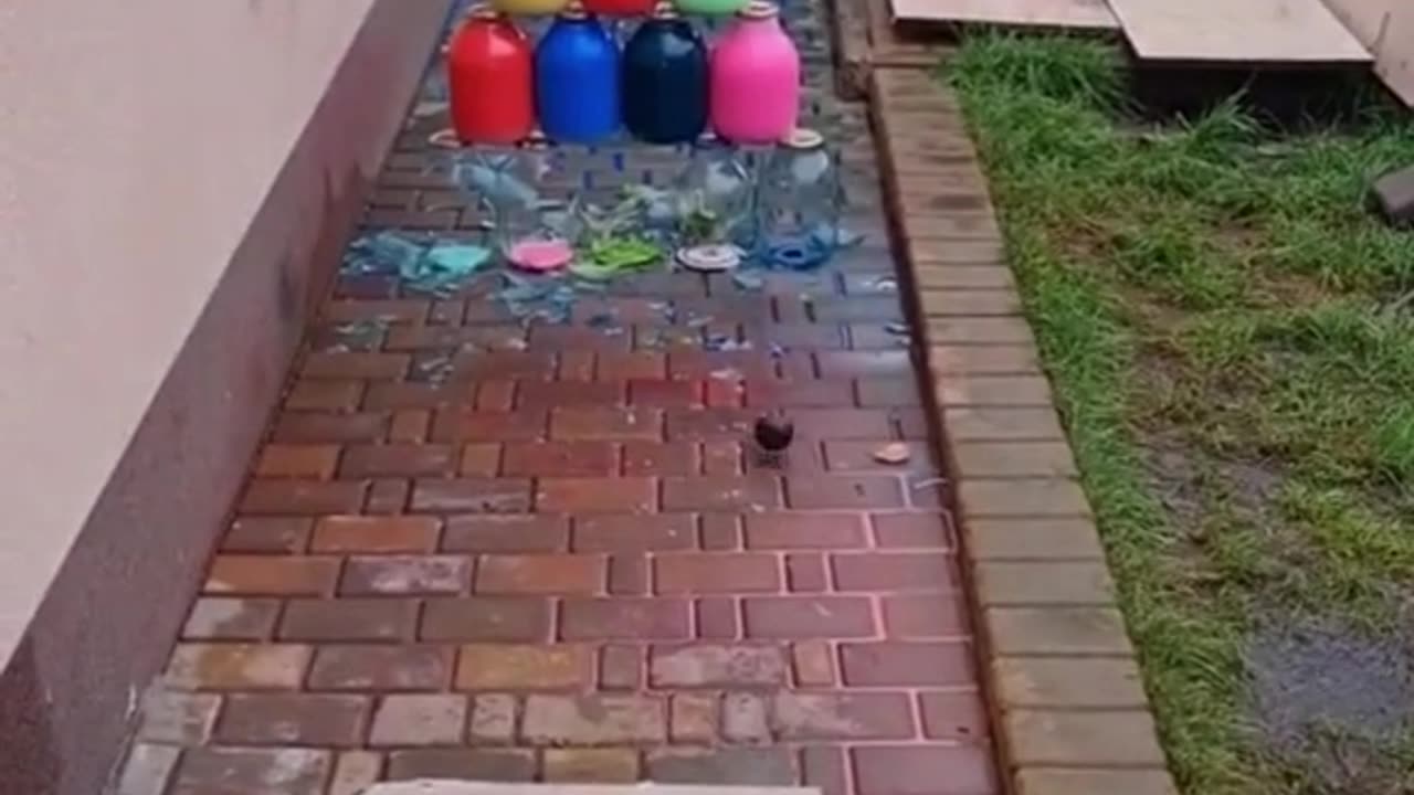 Bottle on Stairs ASMR #ASMR #Satisfying Part 1