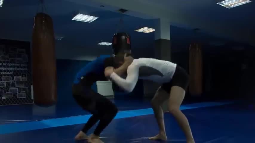 15 Facts About Andre the Giant