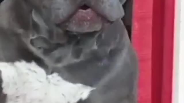 I will show you a baby