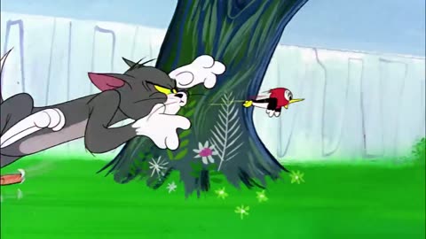 Tom and Jerry. New Episode # 01.