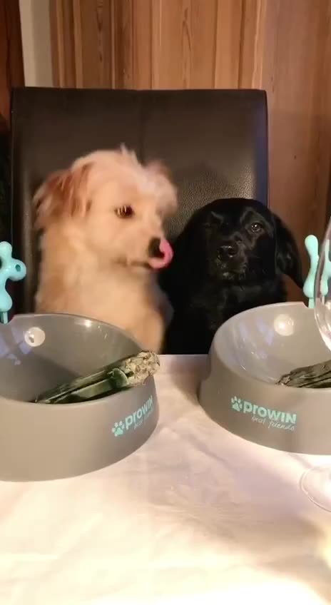 Sharing is caring 😔😍😍