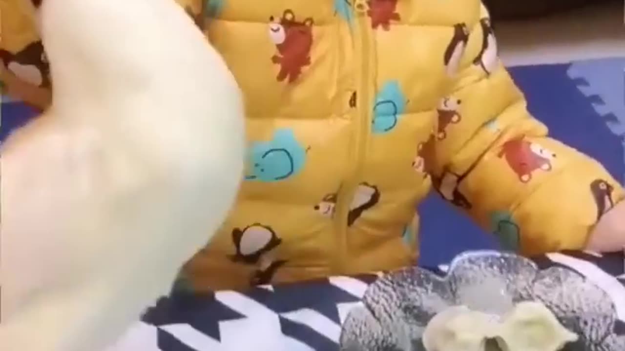 13s)funny.video