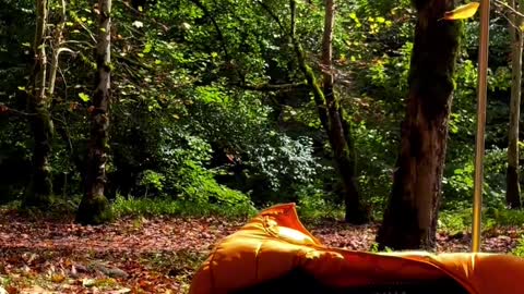 Listen to the sound of autumn