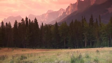 Peaceful % Music, Relaxing Music, Instrumental Music Hymns of peace by Tim Janis