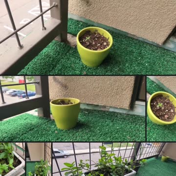 I made a little irrigation system