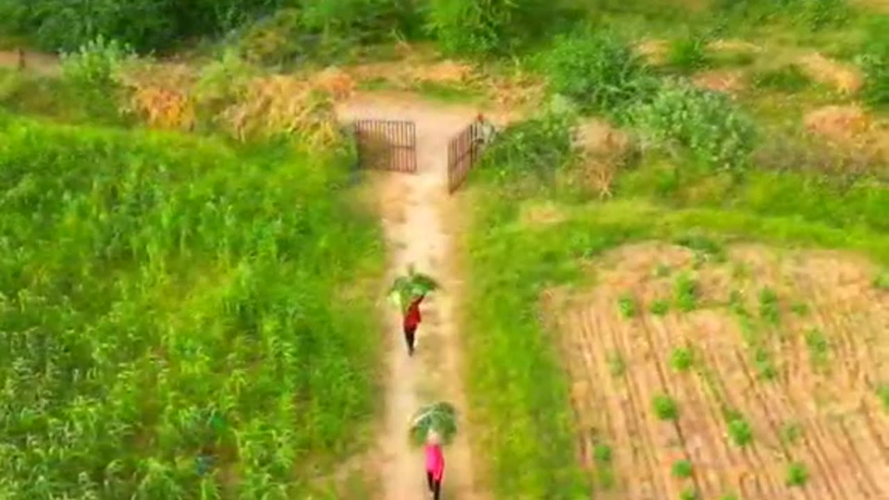 Sindhi song grenry