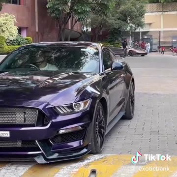 Mustang the beast 💪🏼 #trending #foryou #fyp #tiktok #supercars #carslover
