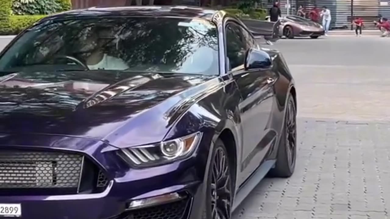 Mustang the beast 💪🏼 #trending #foryou #fyp #tiktok #supercars #carslover