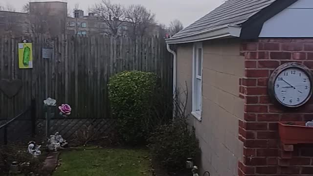 Snow flurries