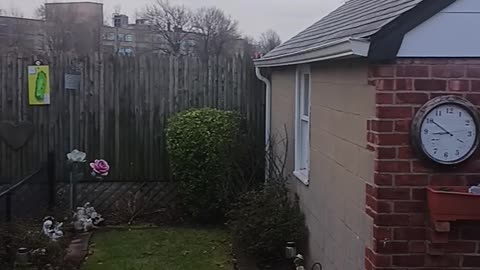 Snow flurries
