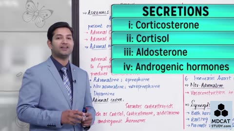 LEC#25 ADRENAL MEDULLA