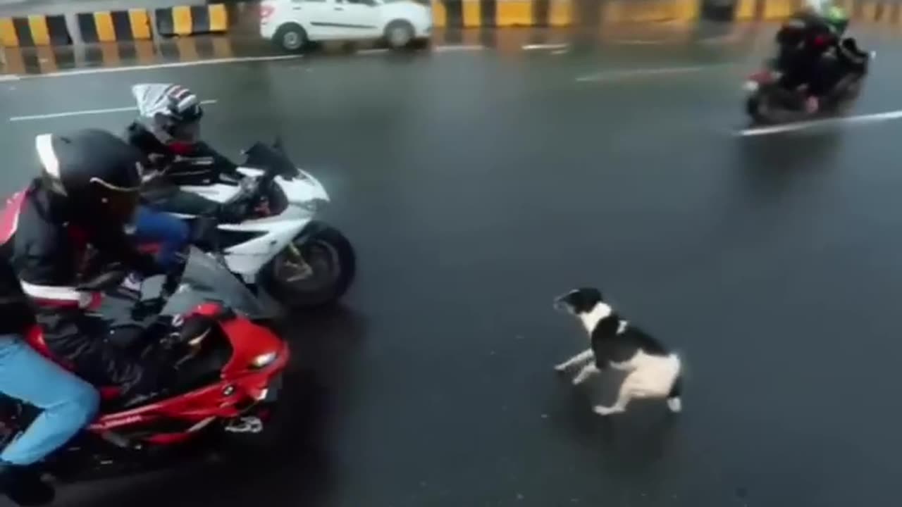 BMW Bike breaking