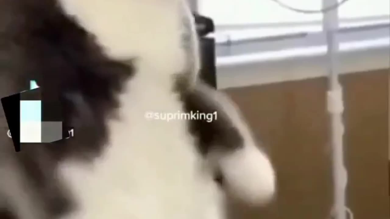 Shocking move