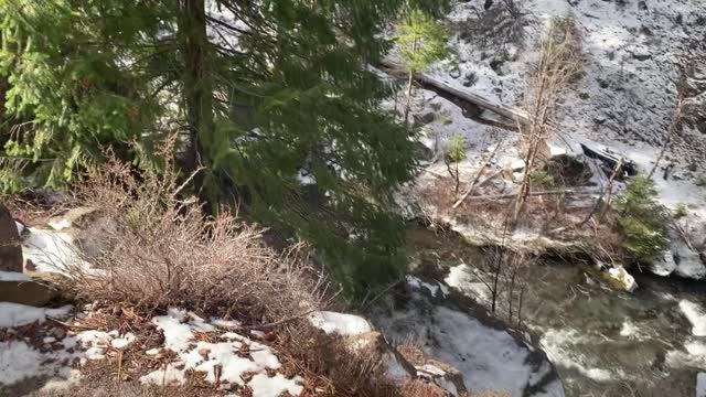 Don’t Want to Fall Down Right There – Whychus Creek – Central Oregon