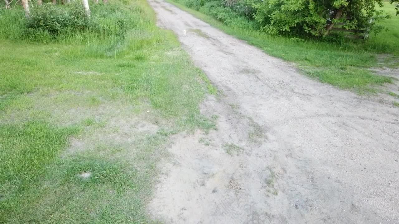 Drive way repair Driveway 2 part 1