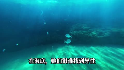 果剋星球奇遇：25.海底淺遊 下