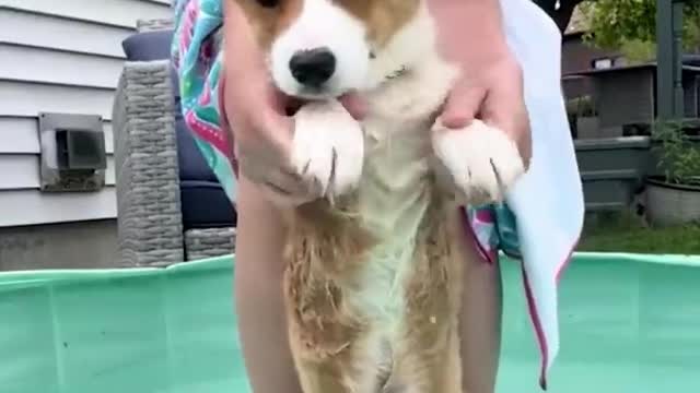 This is sooooo adorable