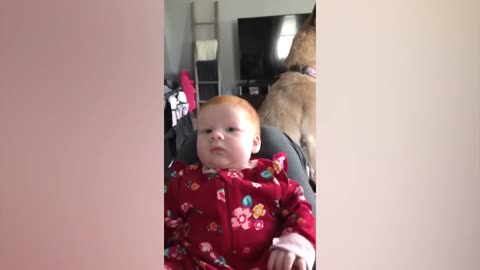 Cute Babies Playing With Dogs Compilation _ Funny Baby And Pets~5