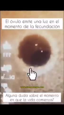 Union MALE & Female = fertilization by God's energy - soul coming into the new life - REINCARNATION