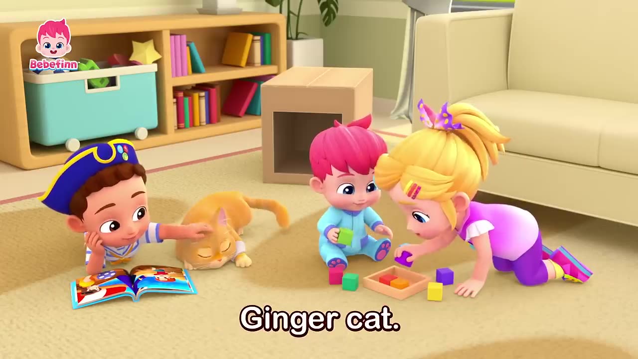 The cat song 😸 I am a ginger cat boo! Meows| sing along2| Nursery rhymes for kids