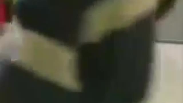 dog attack bite and thing of the past