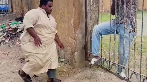 Just funny videos