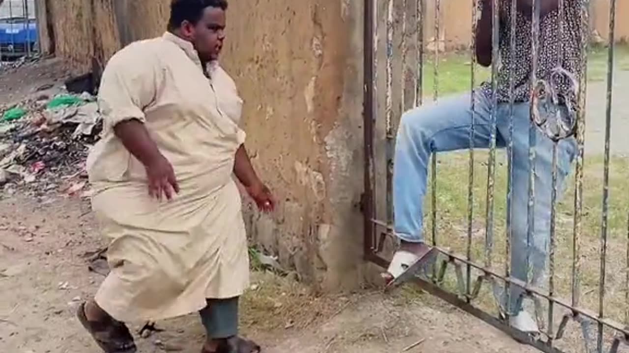 Just funny videos