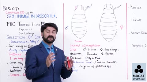 LEC#17 SEX LINKAGE IN DROSOPHILA (PART-A)