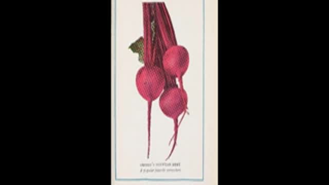 Bitchute Exclusive Video 74 Beet History and Origins