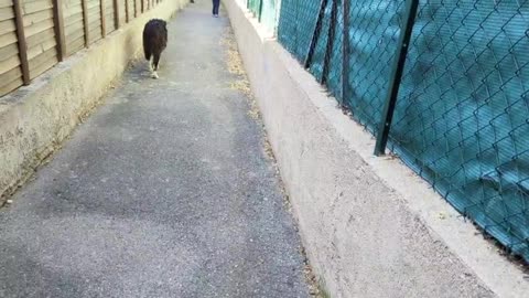 2023-05-03 (1) - partenariat avec Elina - Twitch Triskelina