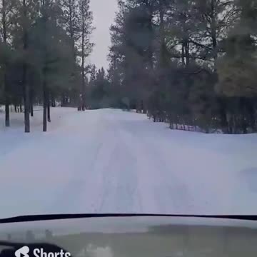 Mountain Road Cruise With Cleo