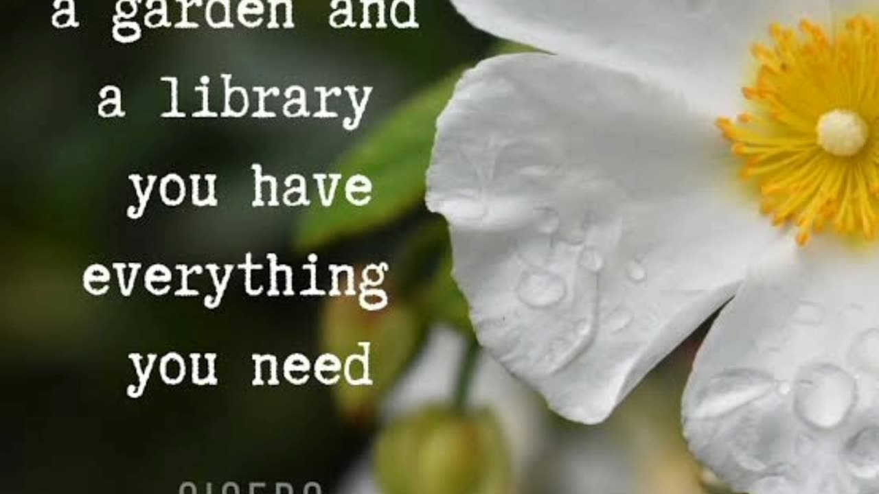 If You Have a Garden Quote by Cicero's motivational Quotes.