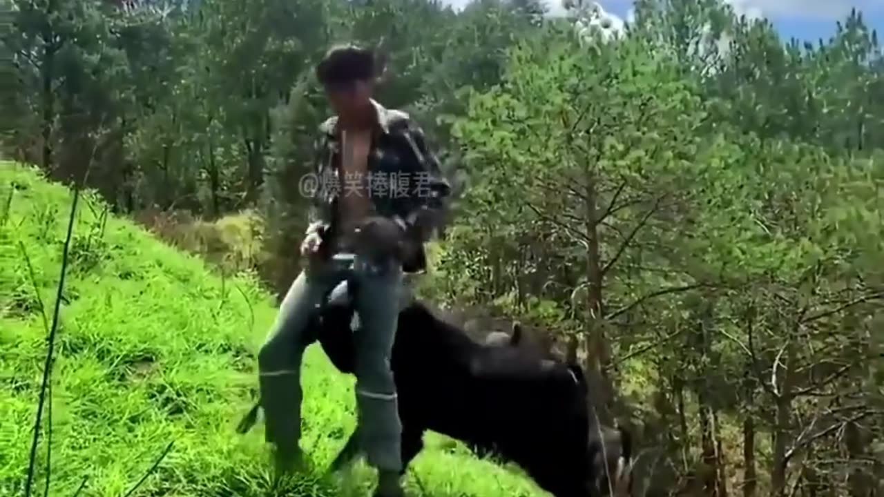 Coi cấm cuời