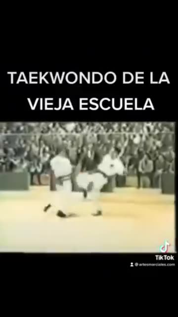 Taekwondo